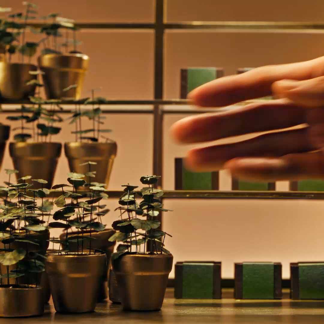 Seasonal Gift Kits - Explore Aesop's seasonal gift offerings