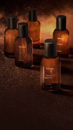 Aesop banner 1