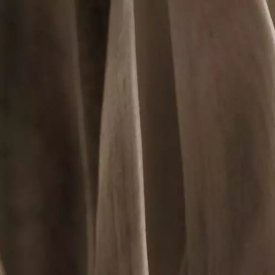 Woody Image
