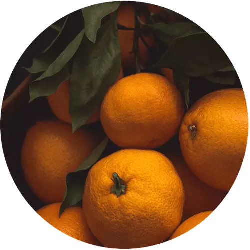 Ingredient Image