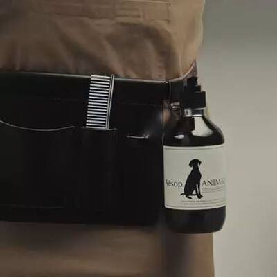 Aesop How To