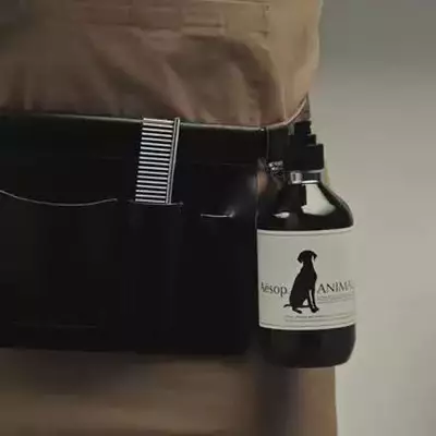 Aesop How To