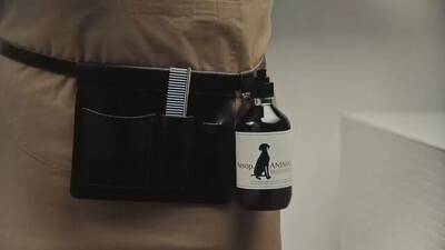 Aesop How To