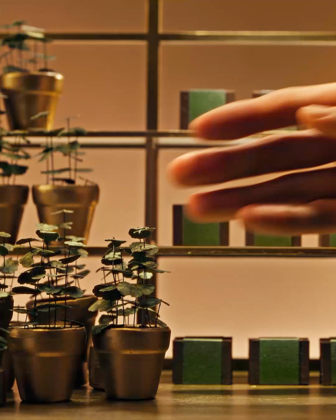 Seasonal Gift Kits - Explore Aesop's seasonal gift offerings