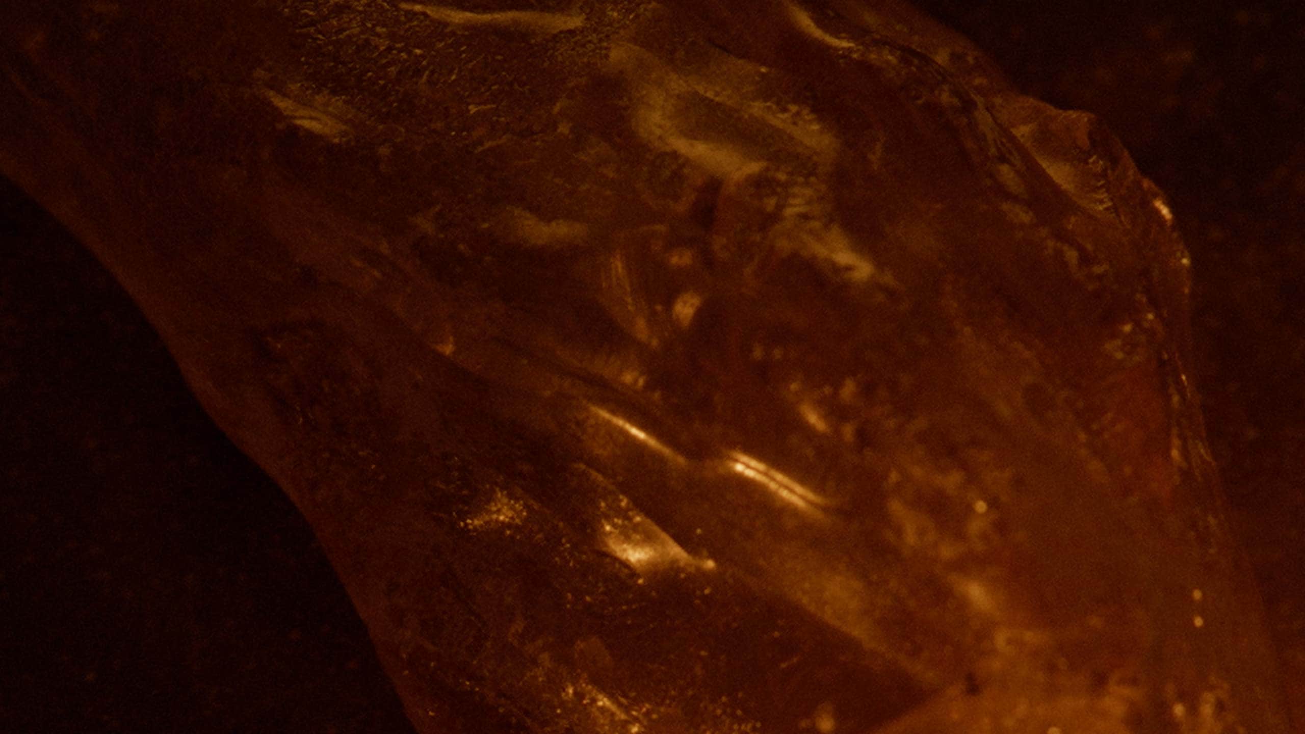 A macro picture detailing the ingredient Amber.