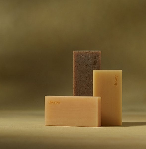 品質の高いハンドケア＆ボディケア製品 | Aesop 日本