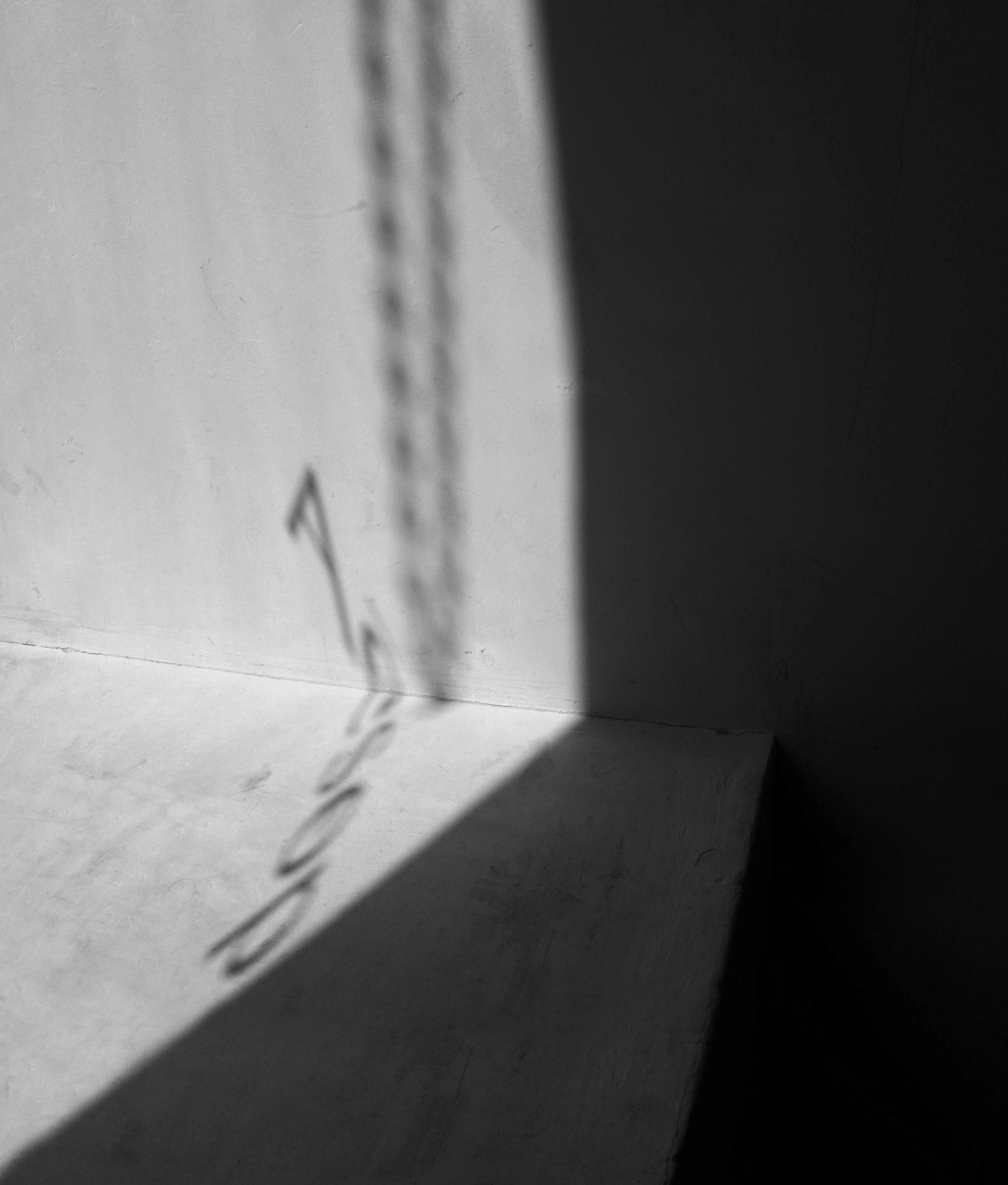 Aesop logo reflects onto a wall from an in-store window display. 