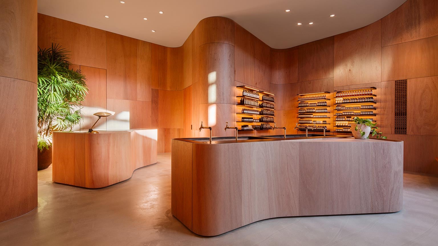 A bright, amber interior crafted from curved timber and copper fixtures.