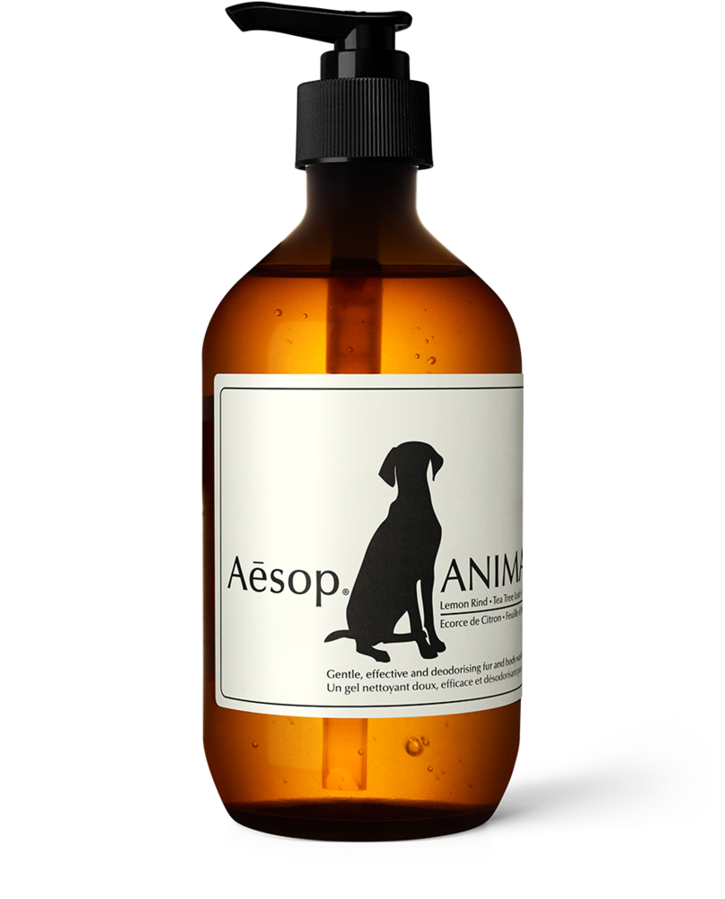 Animal Aesop United States