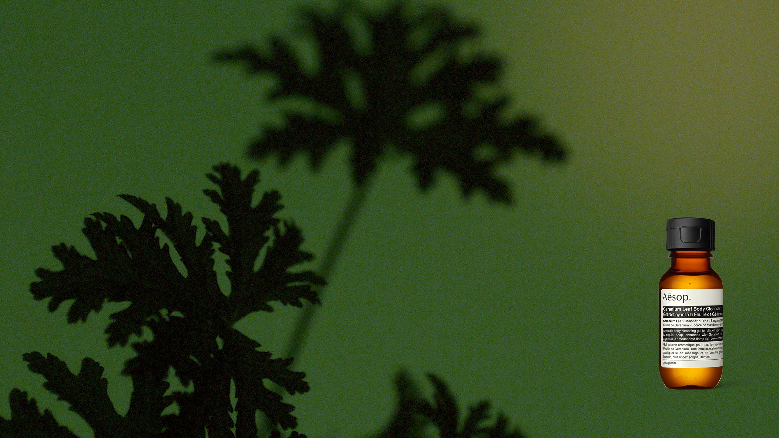 Geranium Leaf Body Cleanser 50mL in font of a Geranium leaf.