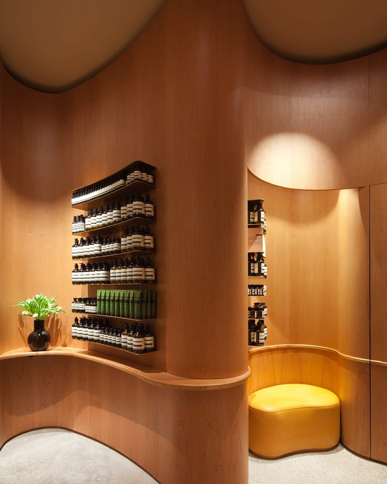 Aesop SoFo store interior display.
