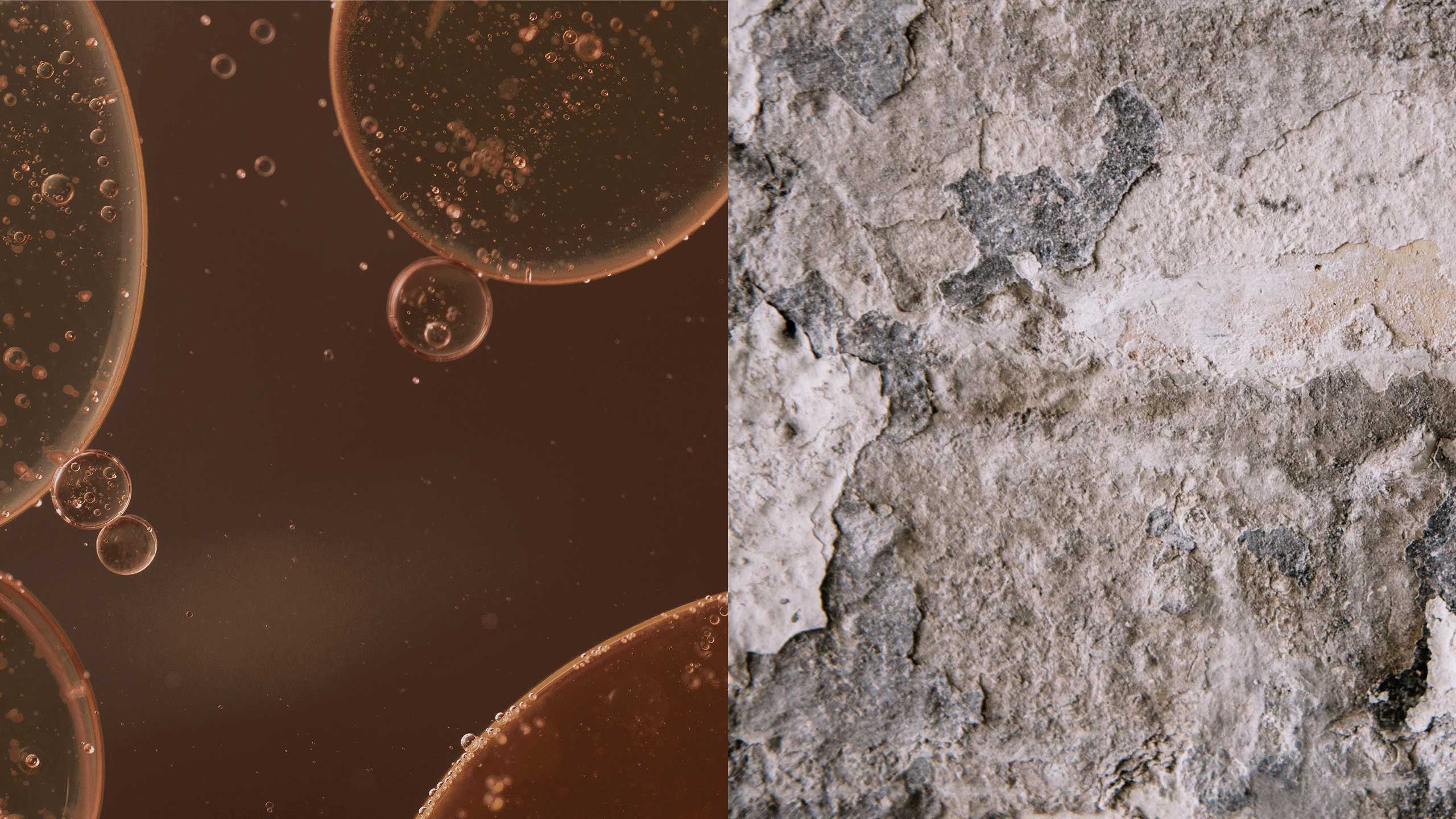 A split image featuring a close-up of an oily texture, and dry flaking render on a brick wall.