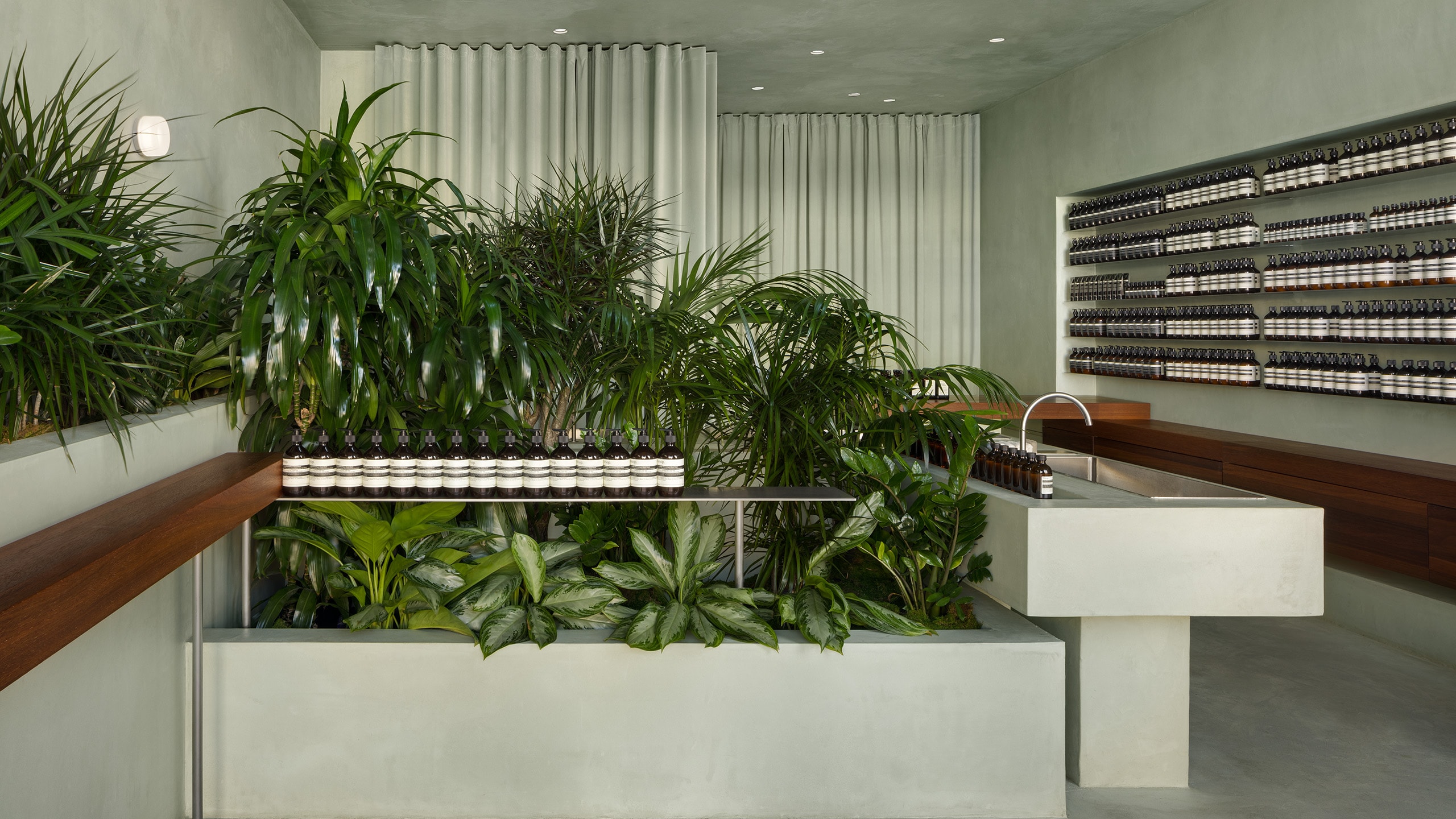 pale green store interior featuring plants, and large sink, and shelving filled with aesop products
