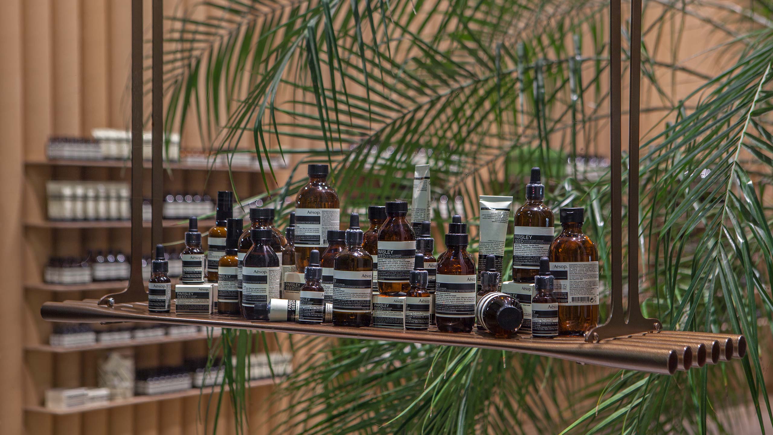 Aesop product merchandised and arranged on a brass framed shelf; featuring an indoor plant.