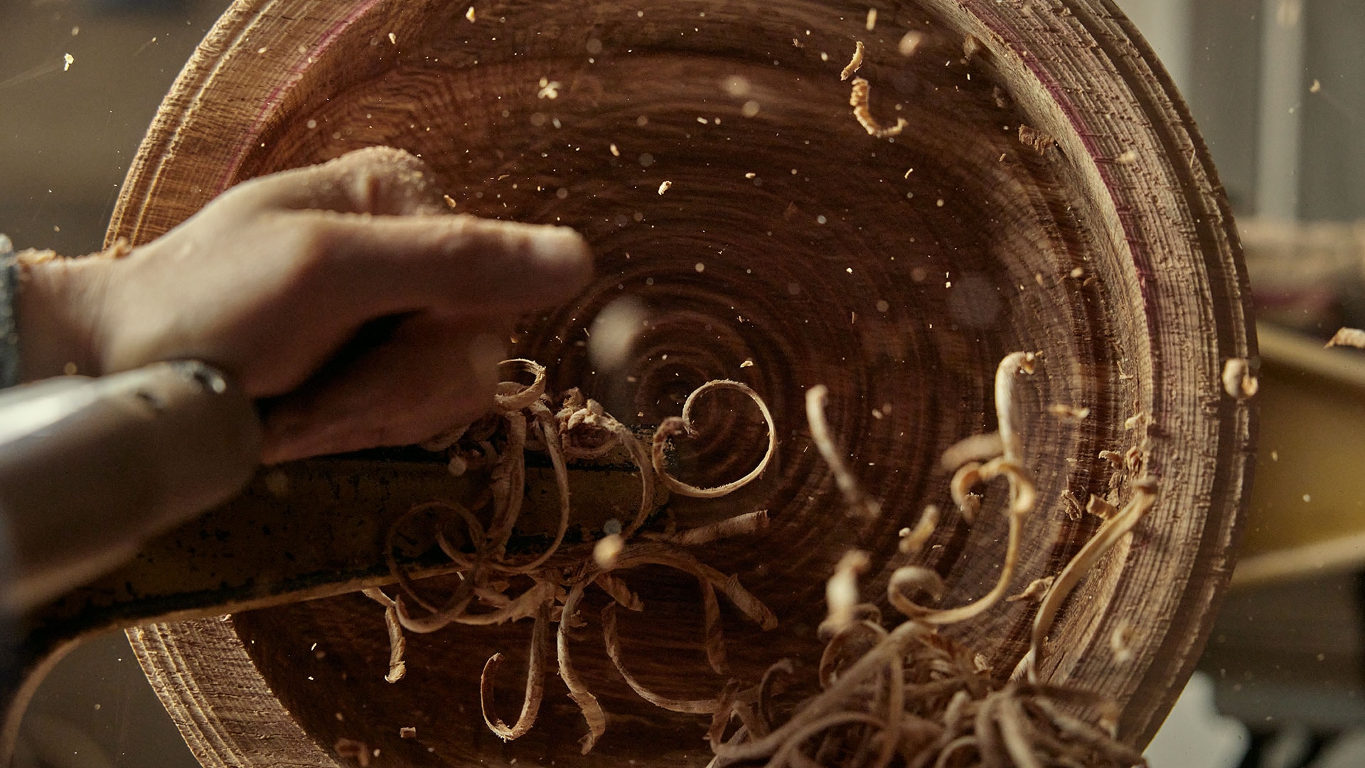 Woodworker shaping to the wood