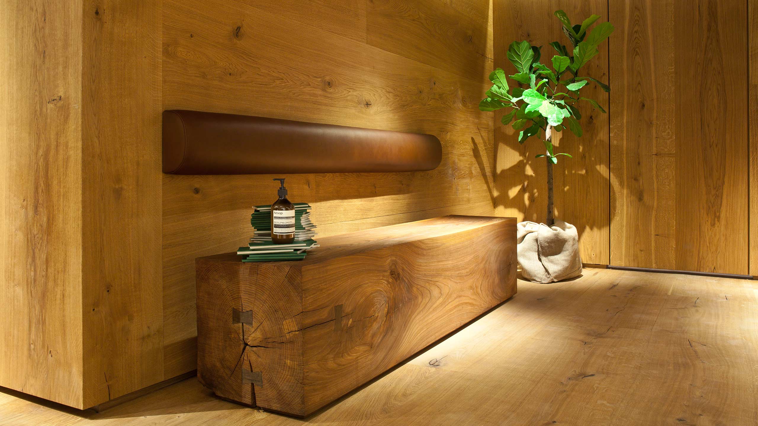 Aesop bibliotekstan store interior