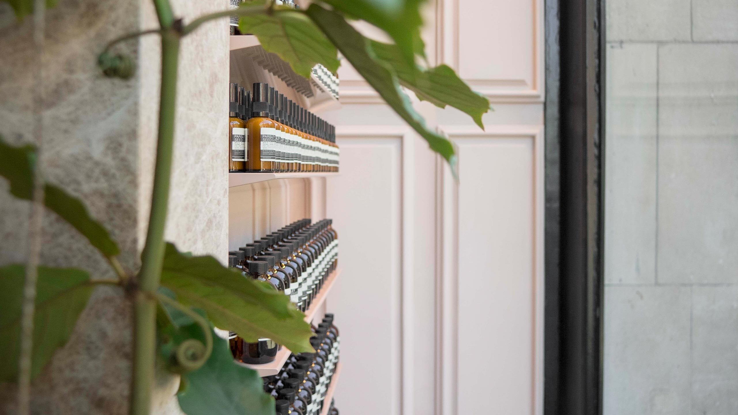 Shelves of Aesop products in-store with a leafy green plant visible in foreground. 