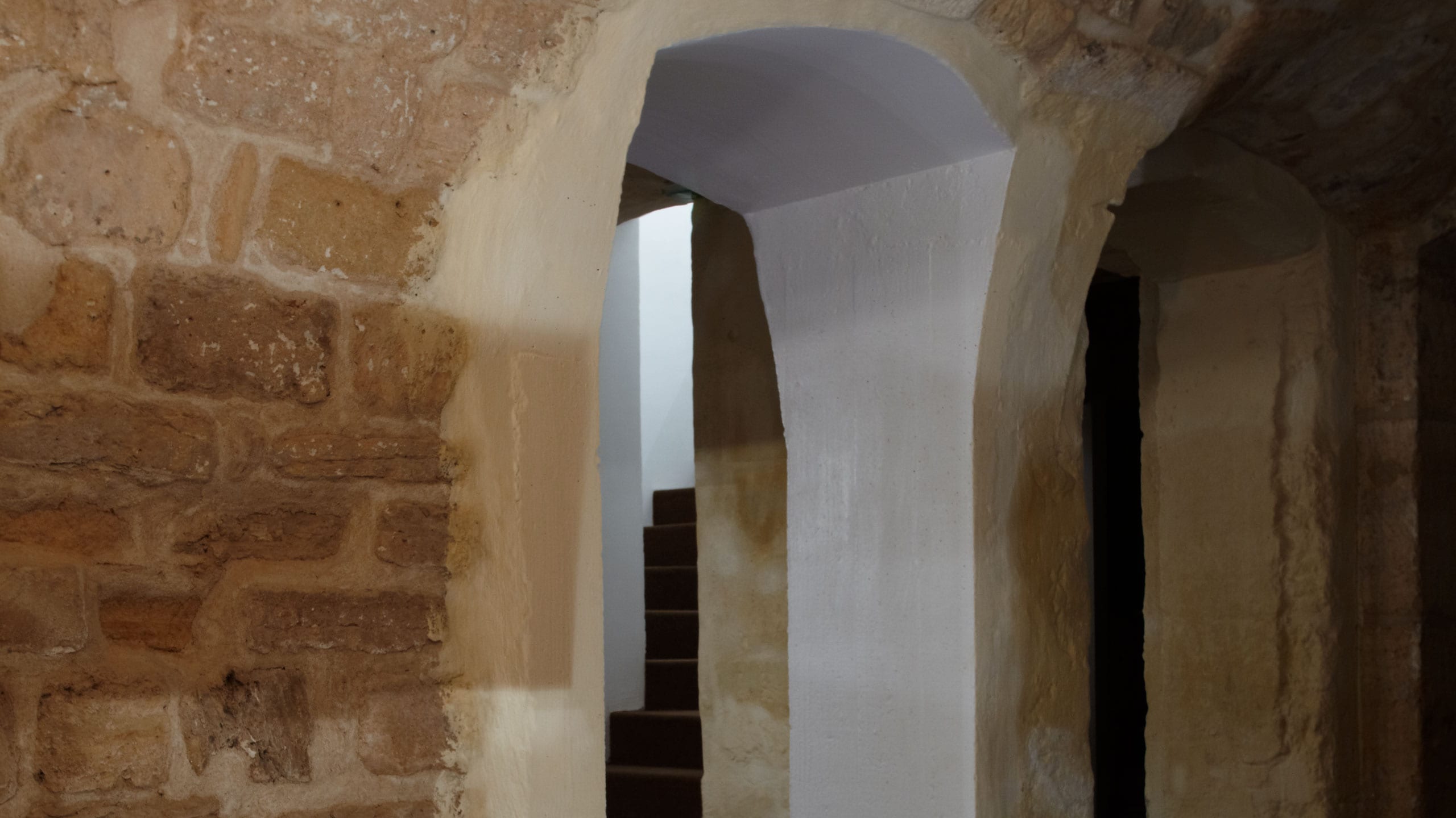 Aesop Saint-Honore store interior detail