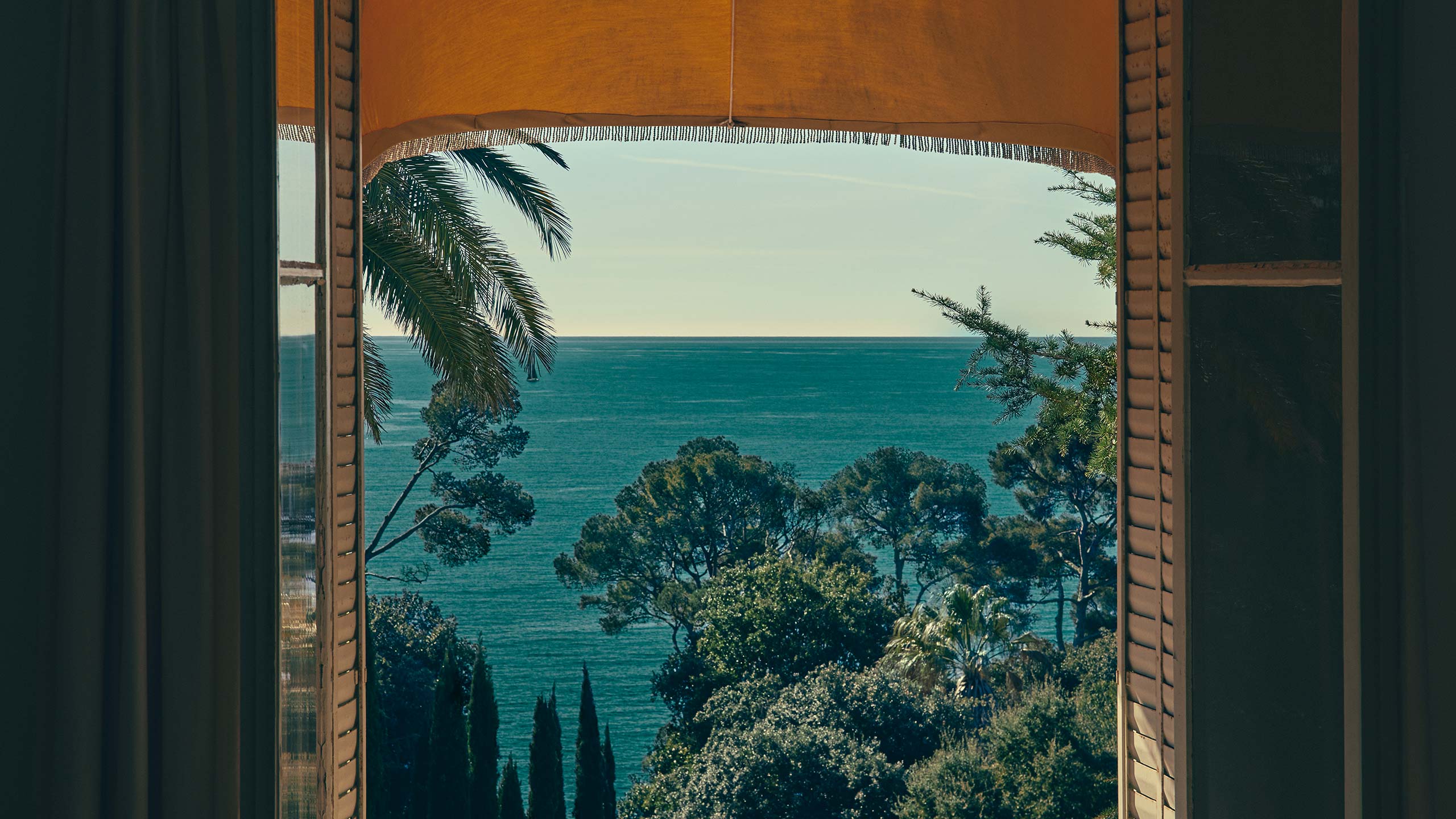 tropical view out a window overlooking water and trees