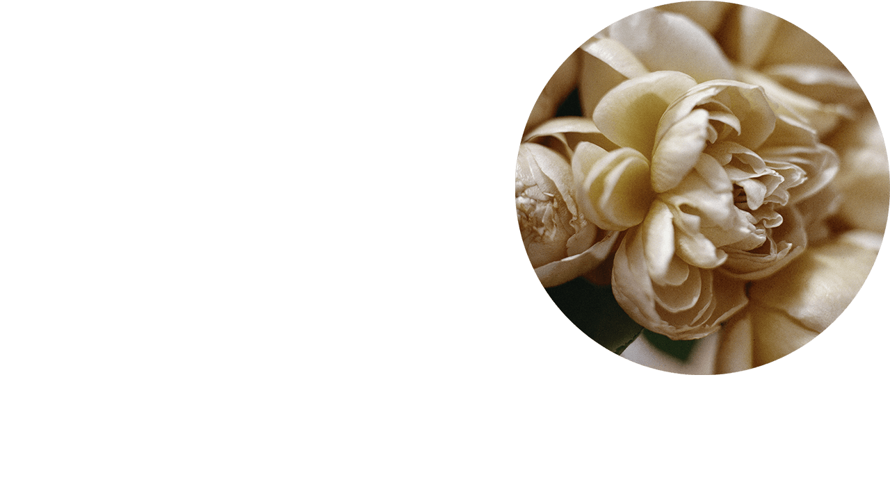 Close-up shot of pale pink flower petals.