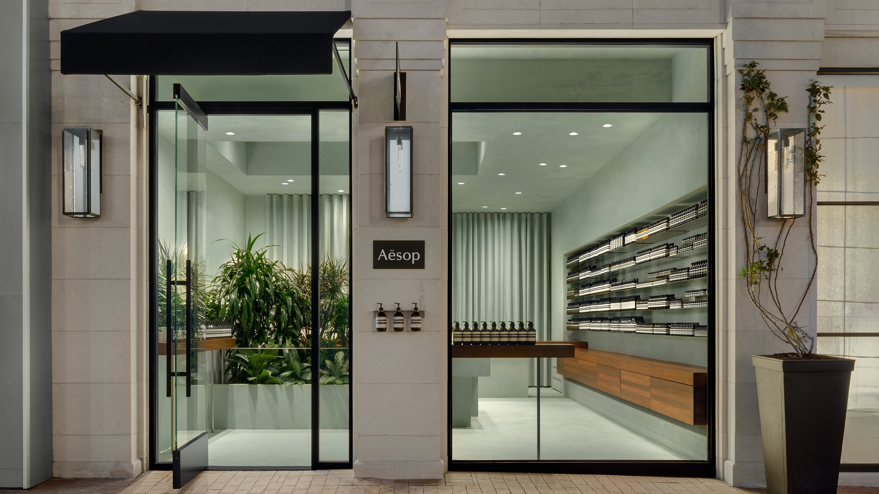 image of a storefront with large windows through which there is a white interior with potted plants