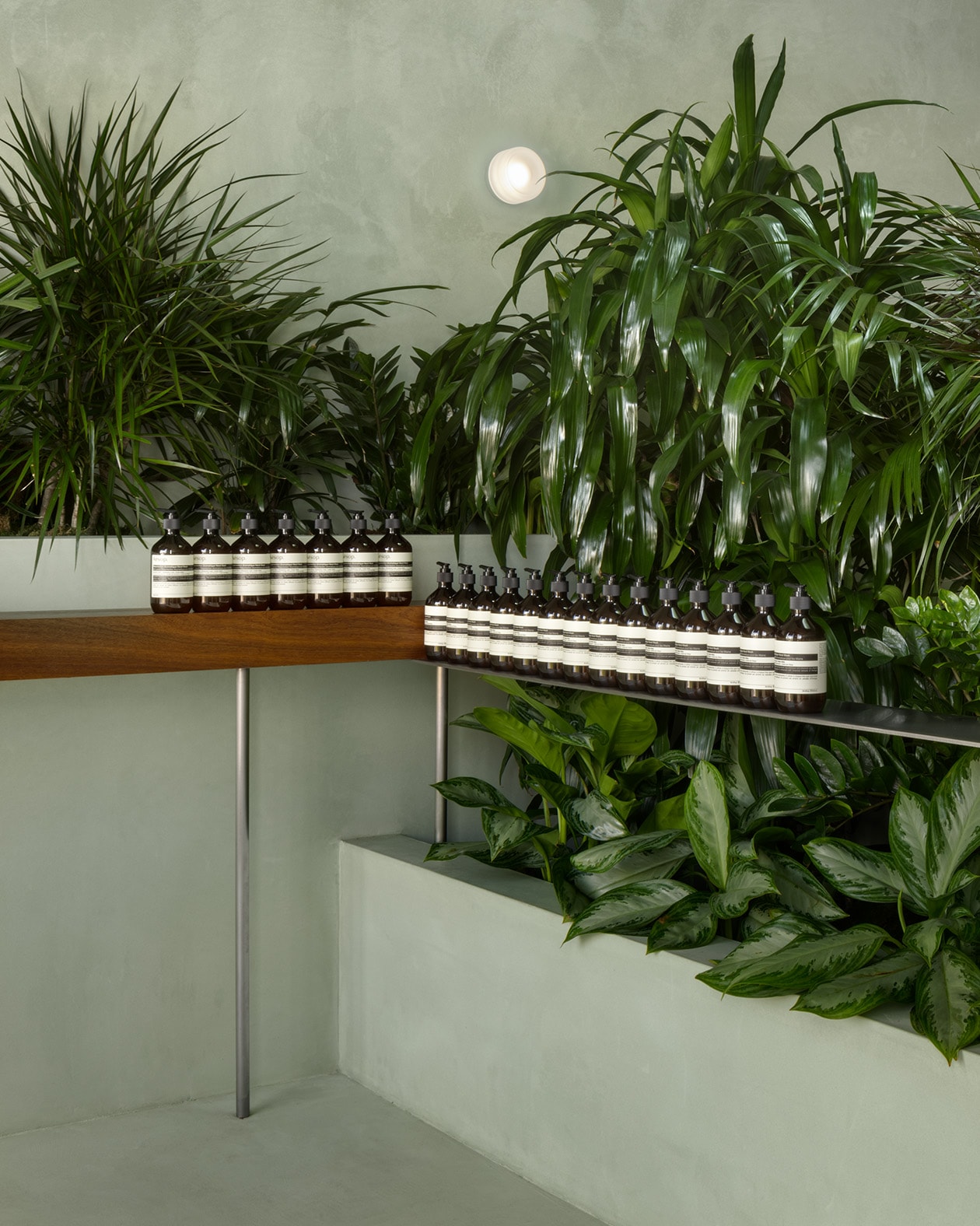 store interior with plants and Aesop products on countertops
