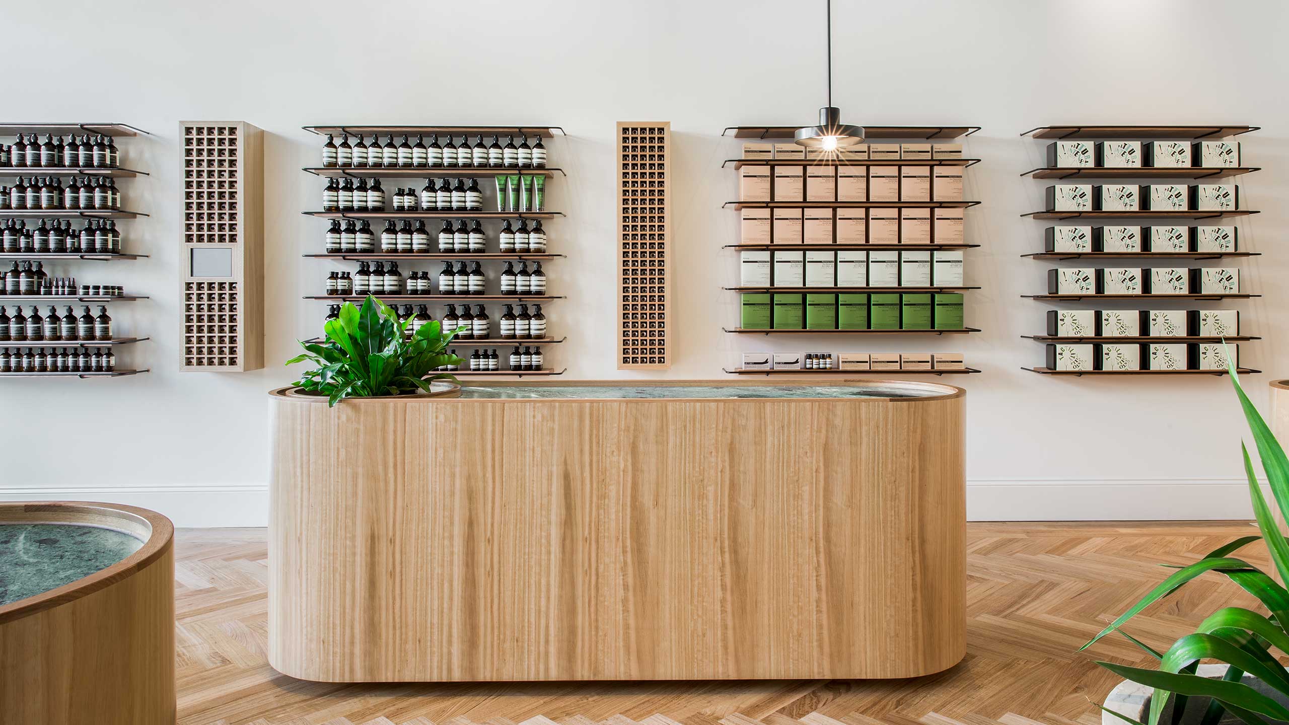 Store counter with a potted plant; several display shelves are behind it. 