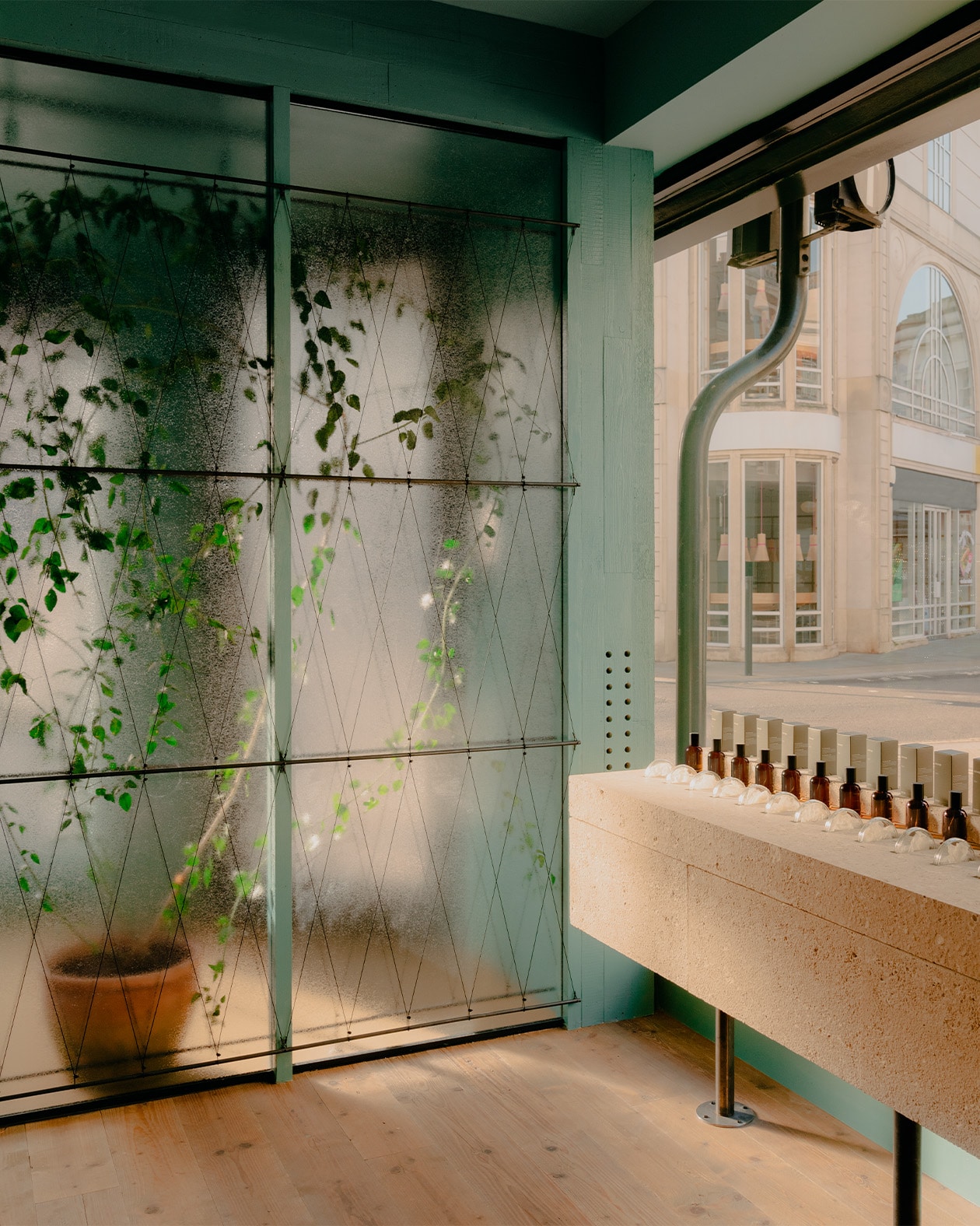 Aesop Richmond store interior window display and plant feature.