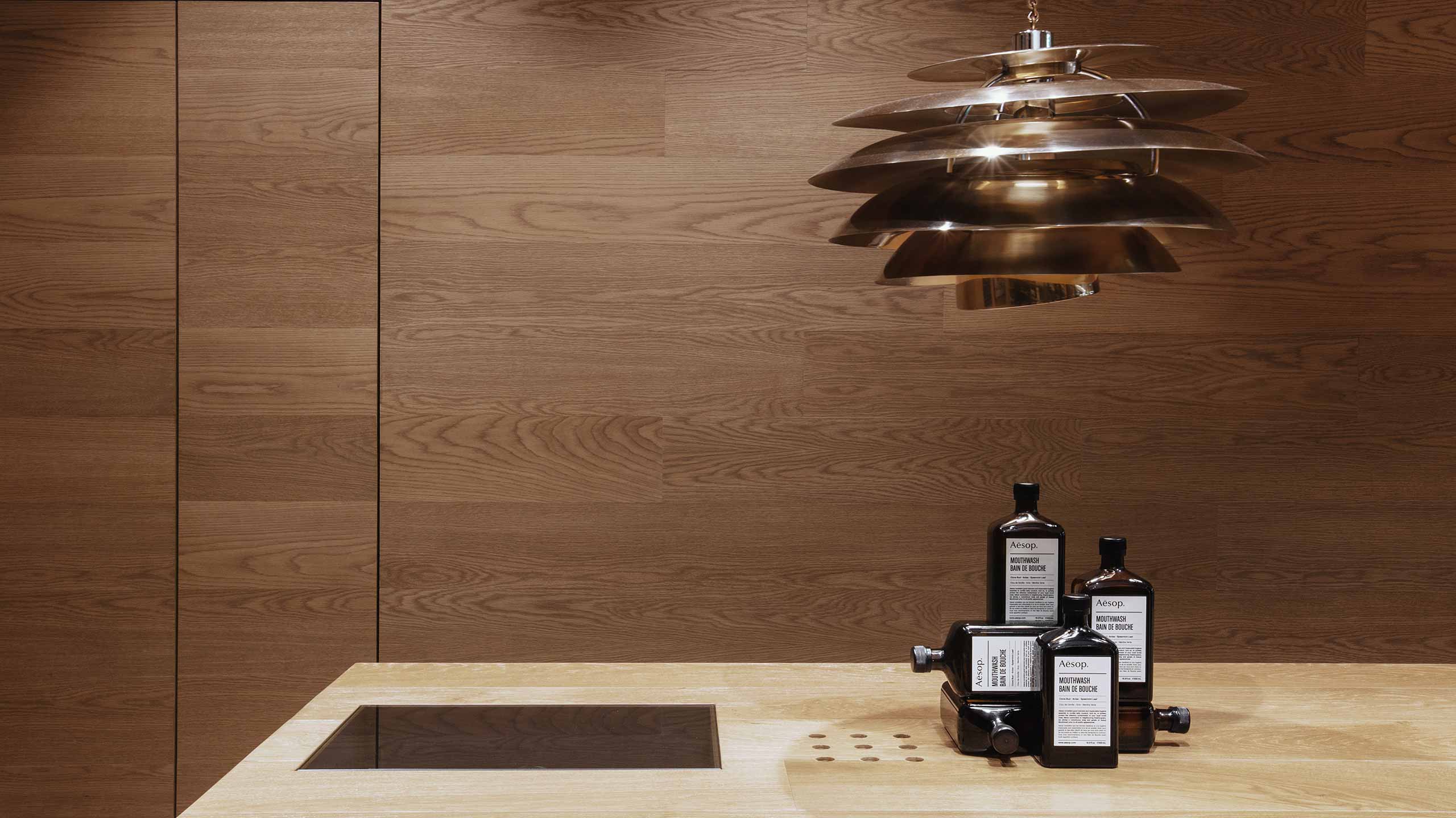 Aesop Gardens store interior lighting