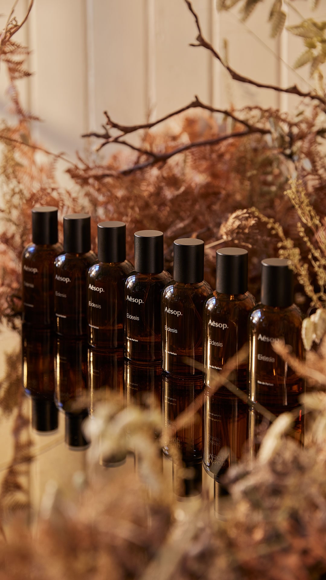 Seven bottles of Eidesis Eau de Parfum lined up on a reflective surface, framed by dried autumnal foliage.