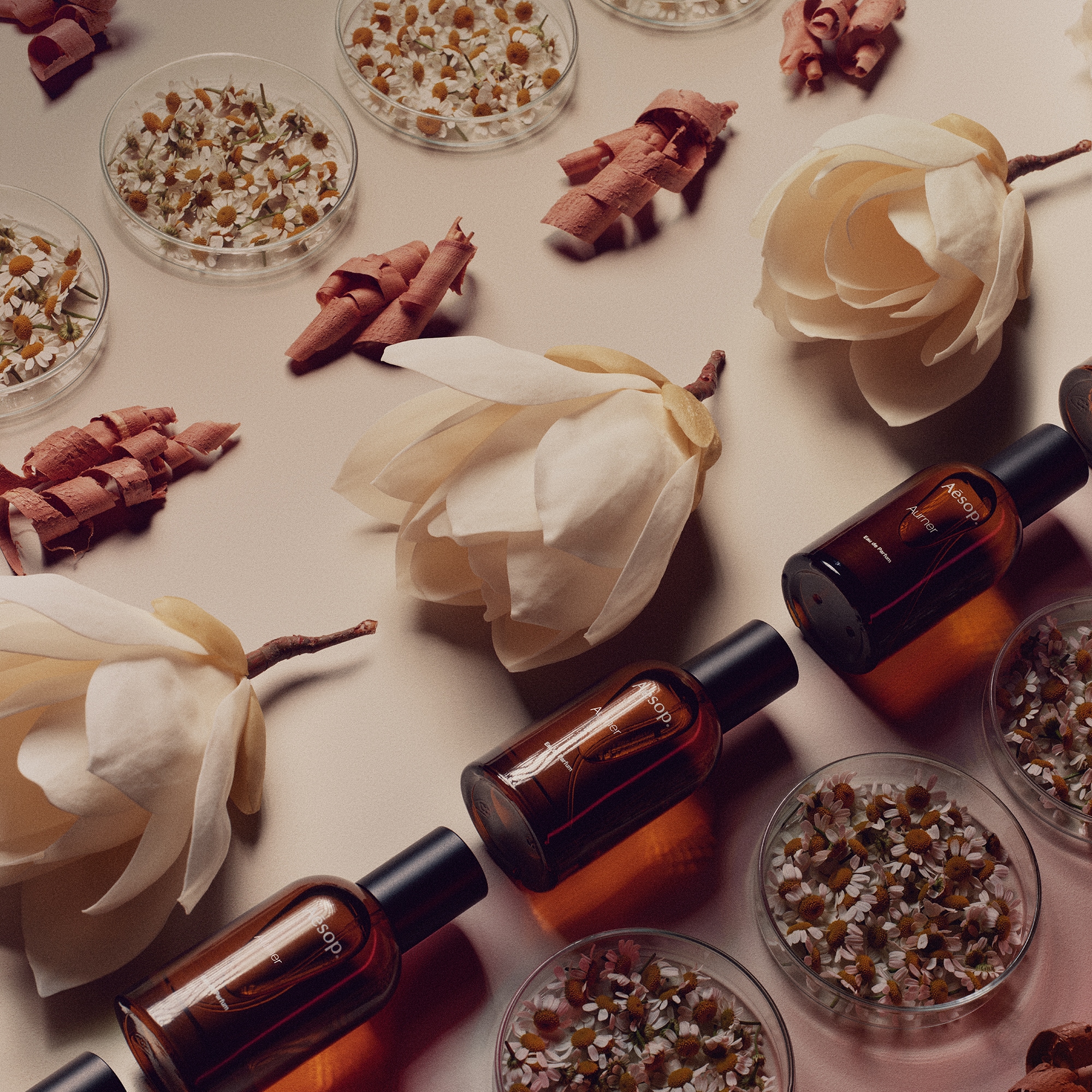 Aurner EDP AESOP | Madison Perfumery