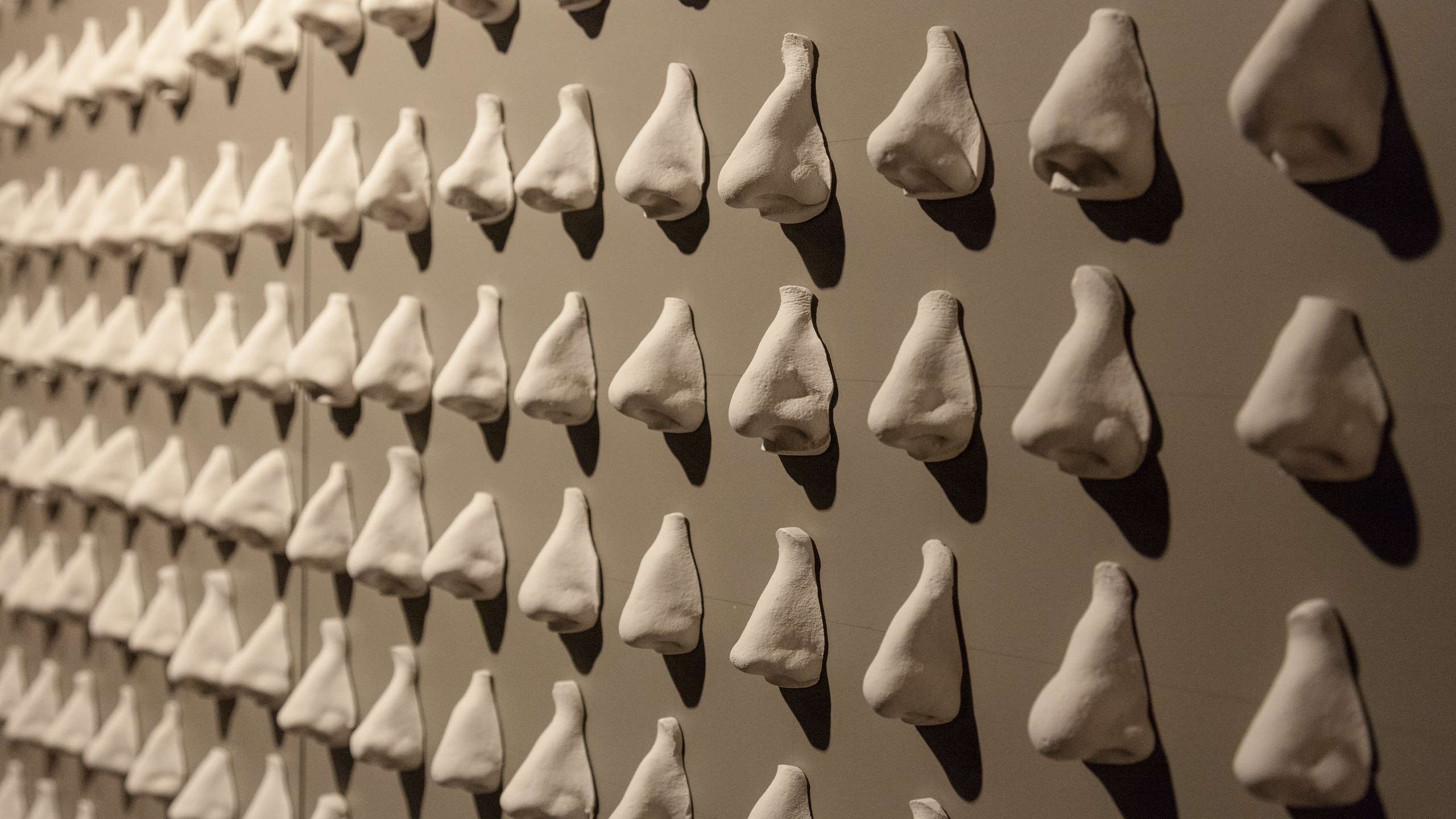 Nose sculptures placed on a beige wall