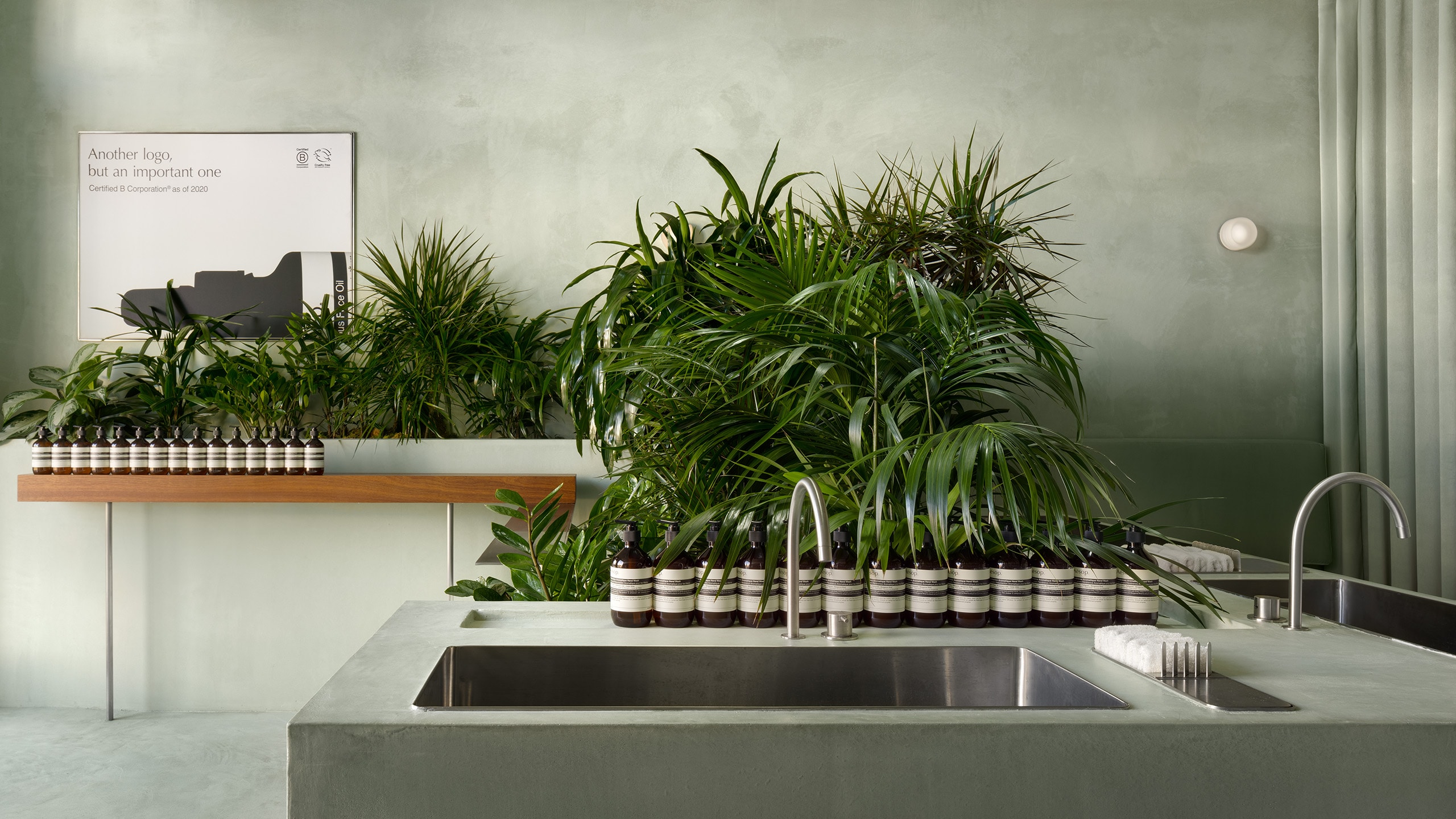 large sink inset in counter with plants in background