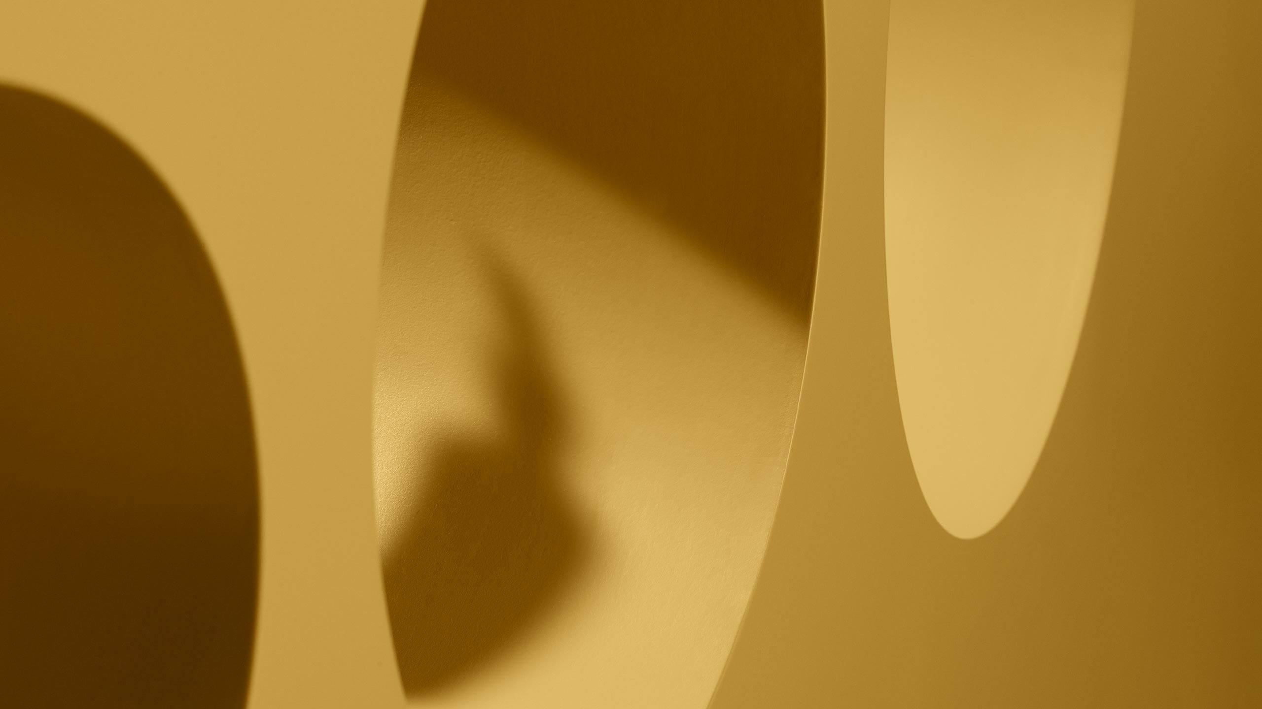Shadows of Aesop products on yellow blocks.