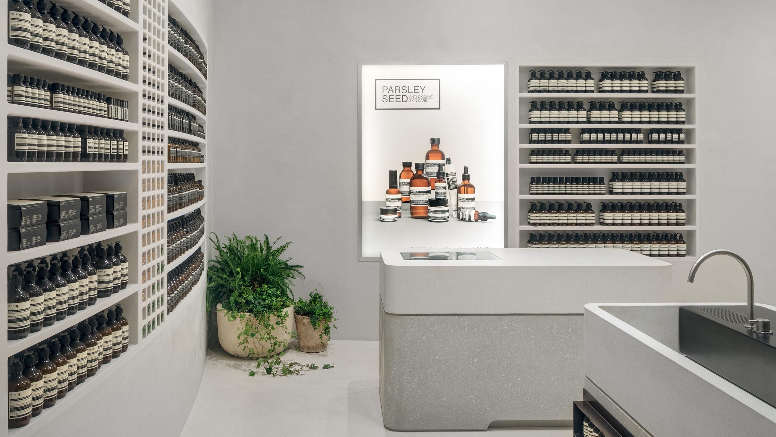 Store counter featuring light boxes illuminating; a leafy green plant sits behind the register. 