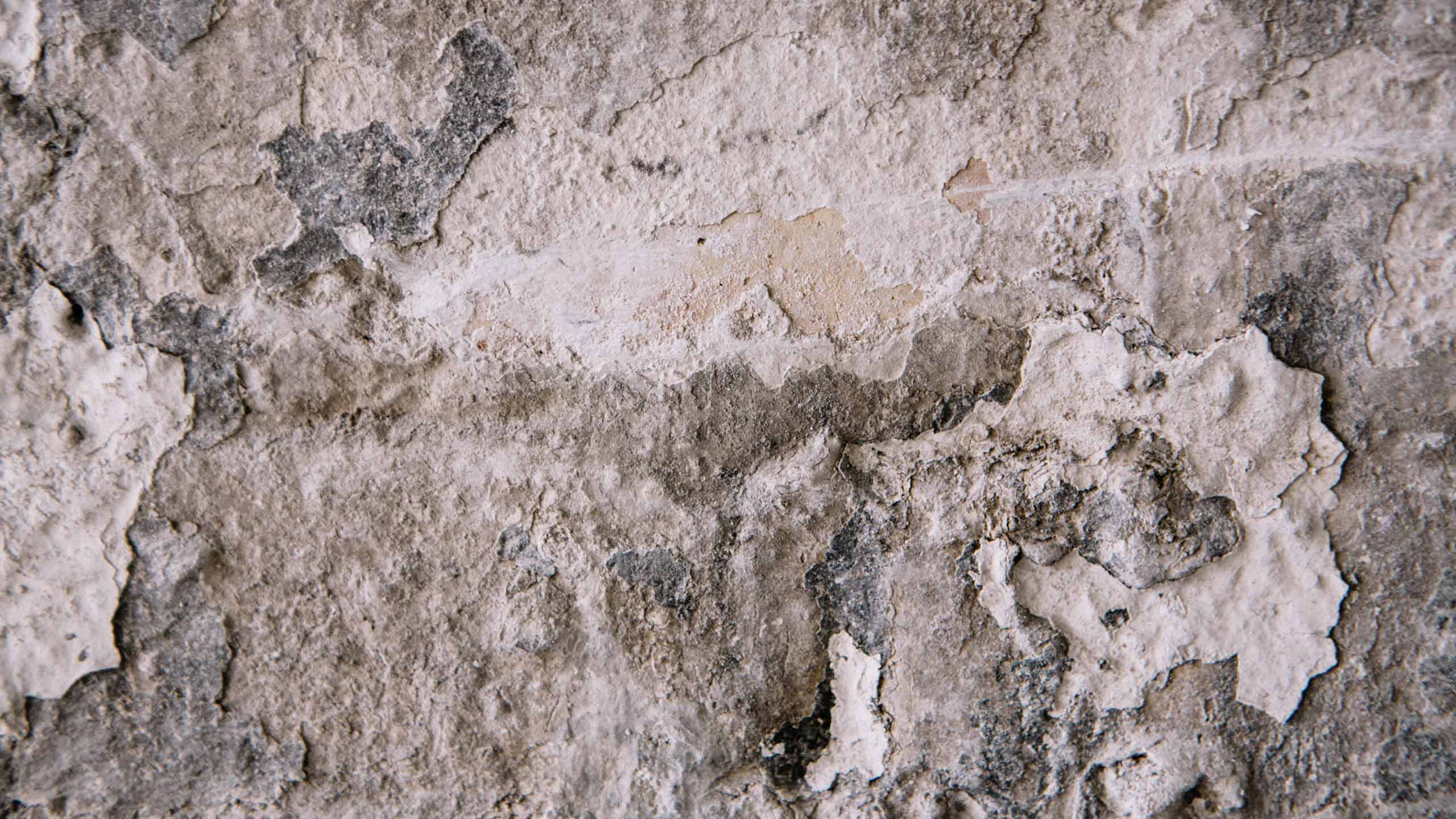 Interior wall with a cracked, dry textured surface.