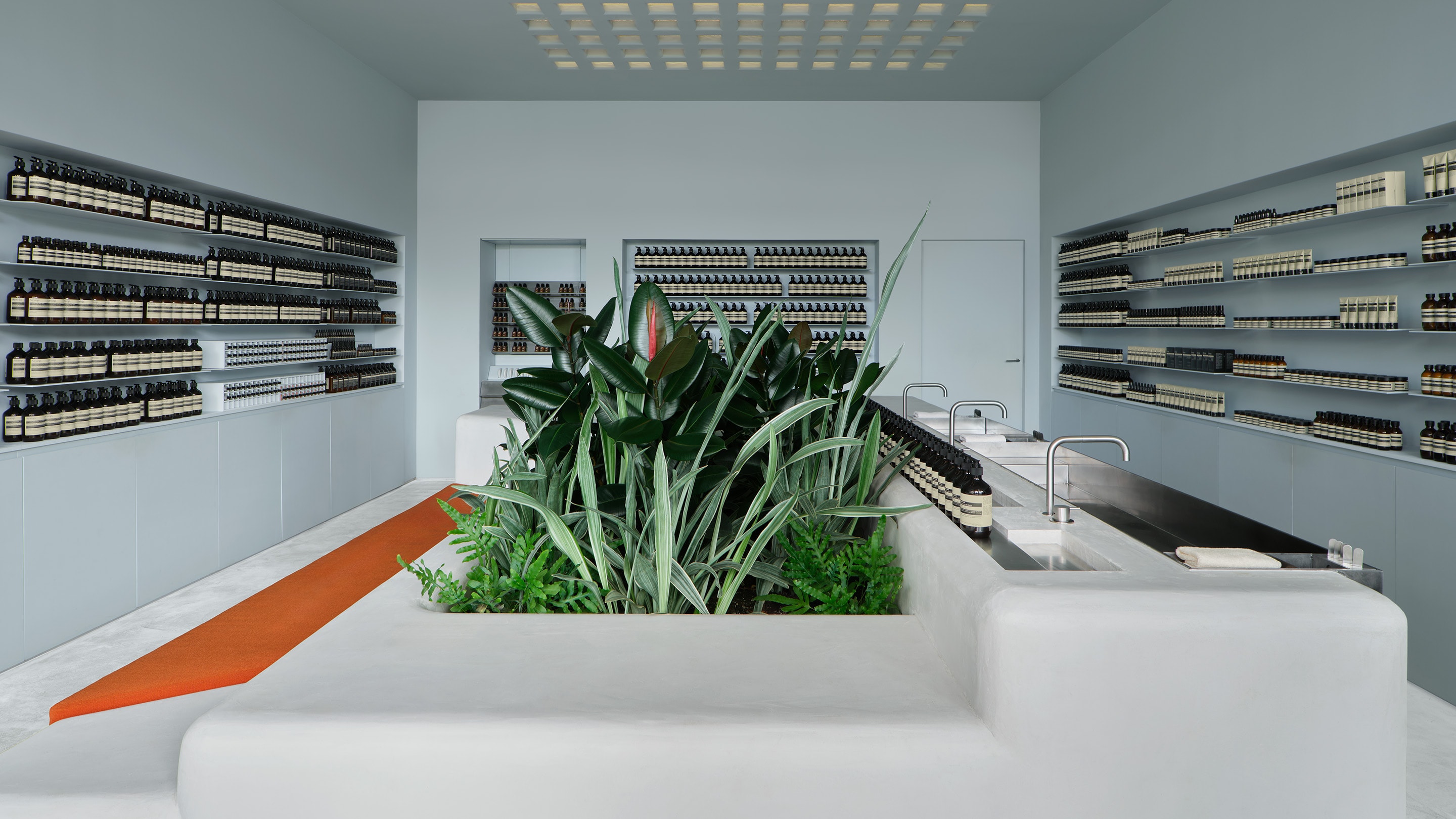 store interior featuring grey blue walls lined with product on shelves, a large grey center console with steel basins, indoor plants, and a red bench