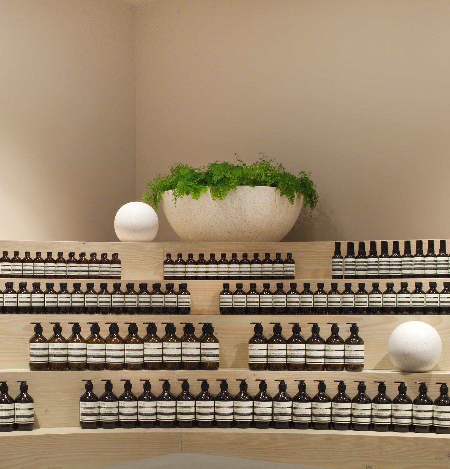 Aesop products on shelf below a pot plant.