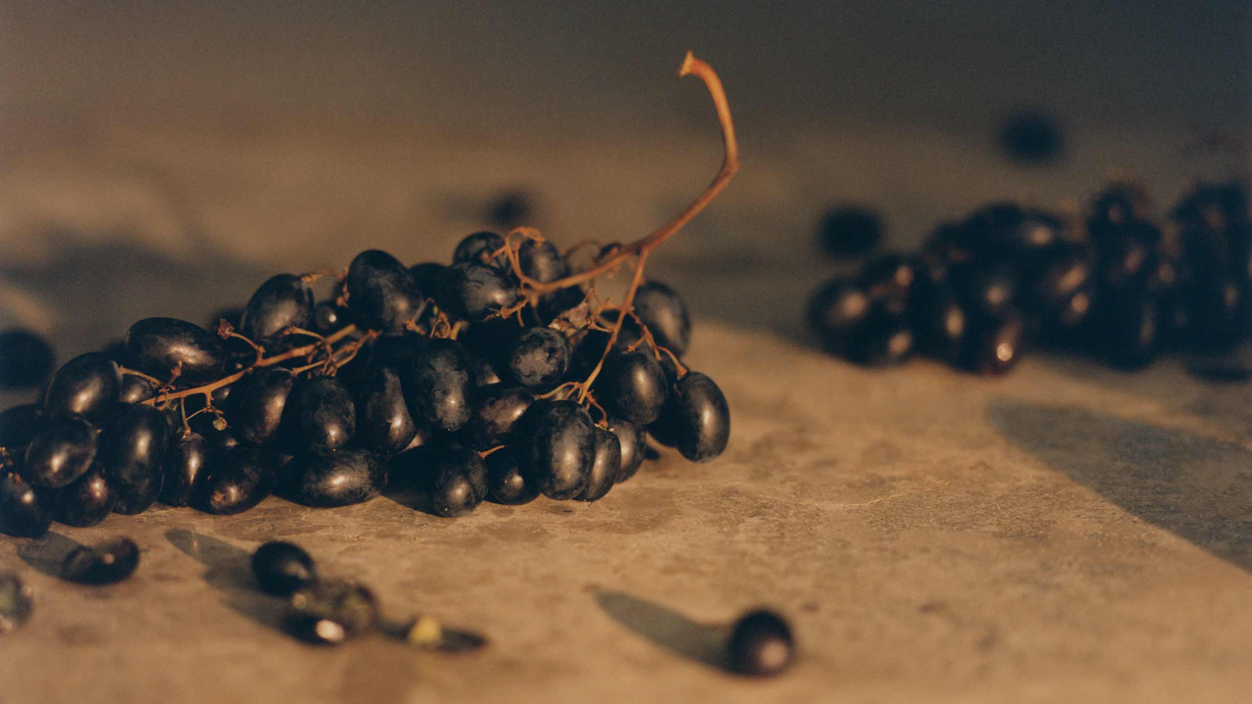 Close-up image of a bundle of grapes. 