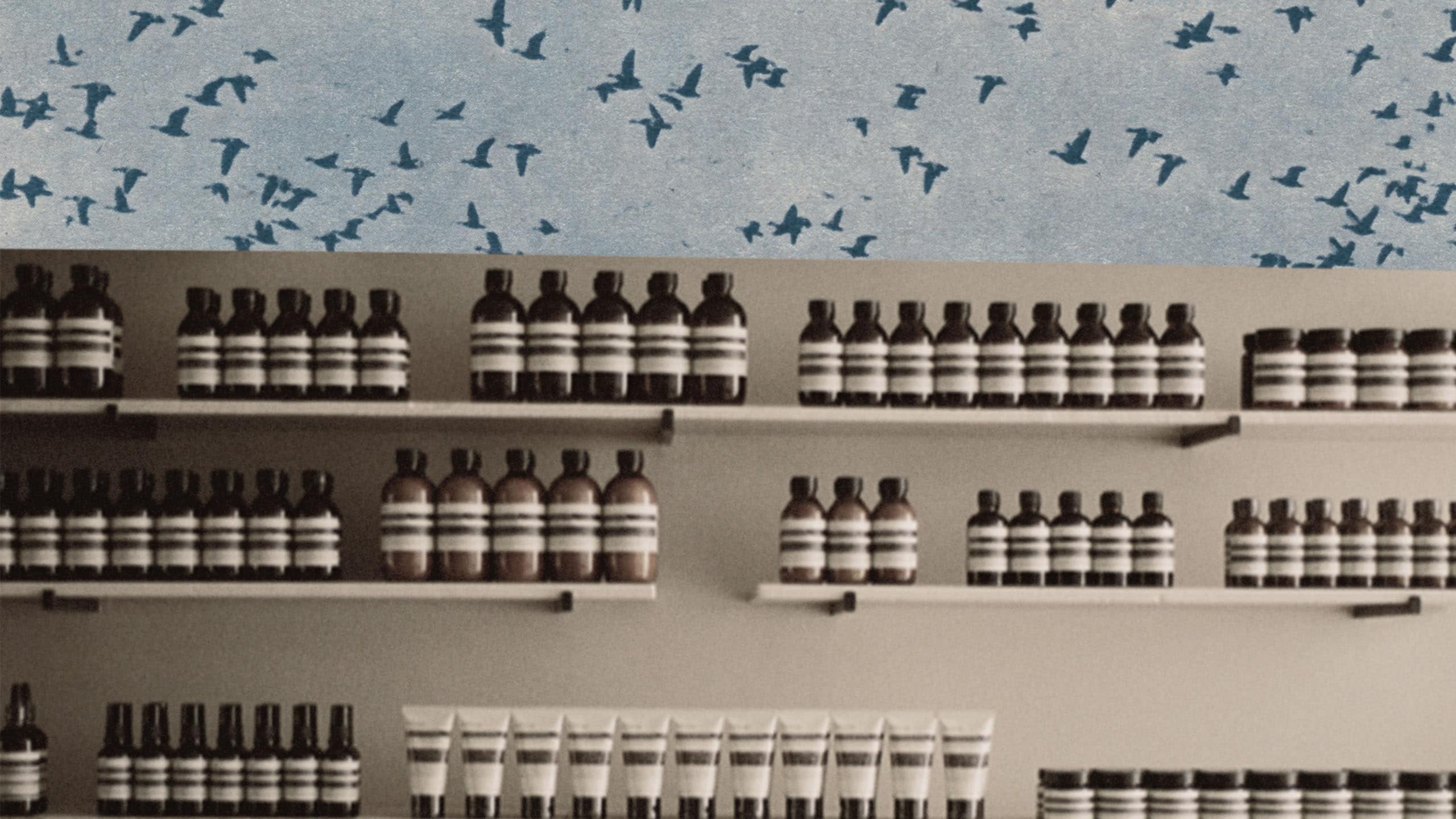 Collage depicting a photograph displaying Aesop amber bottles and birds in a landscape 