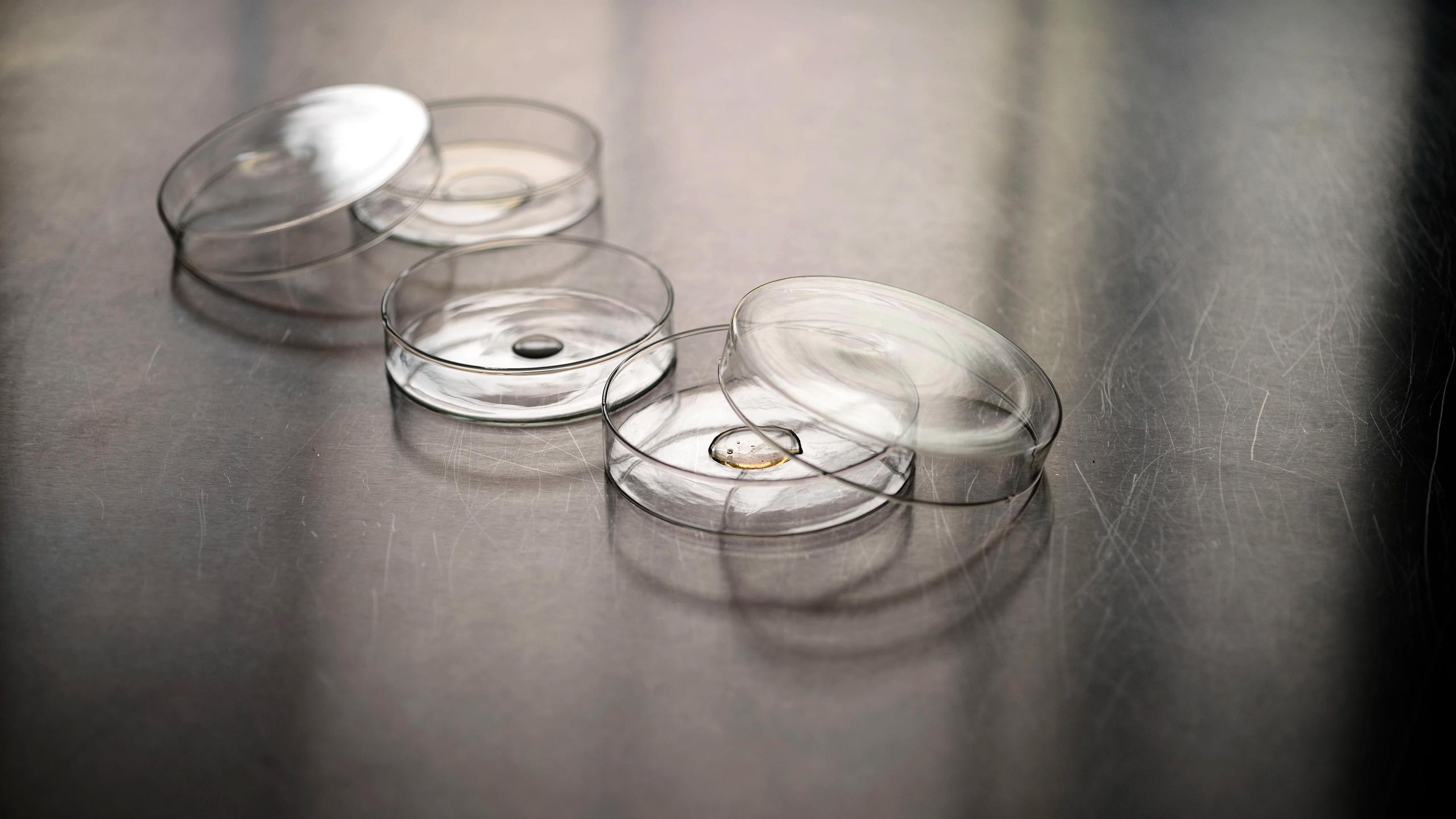 Three glass petri dishes, each containing a sample of oil-based liquid. 