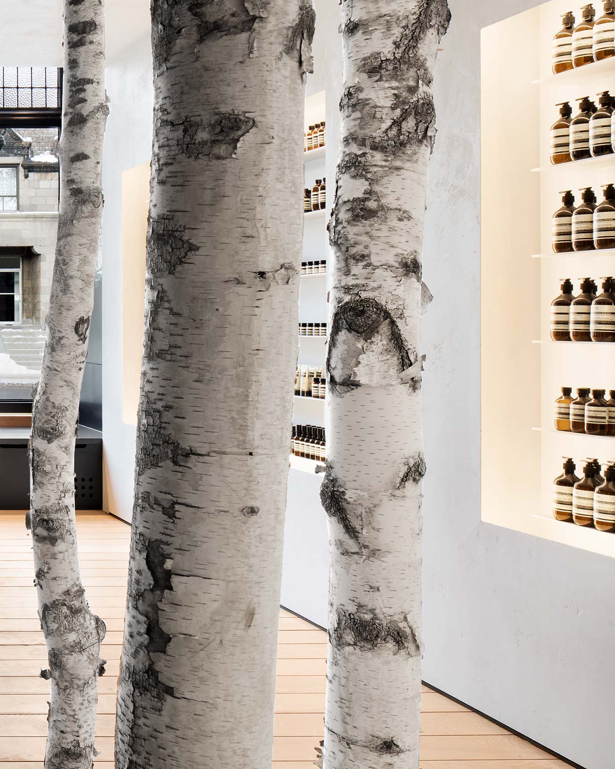 Close-up of three tree trunks painted white standing tall against a contemporary white wall. 