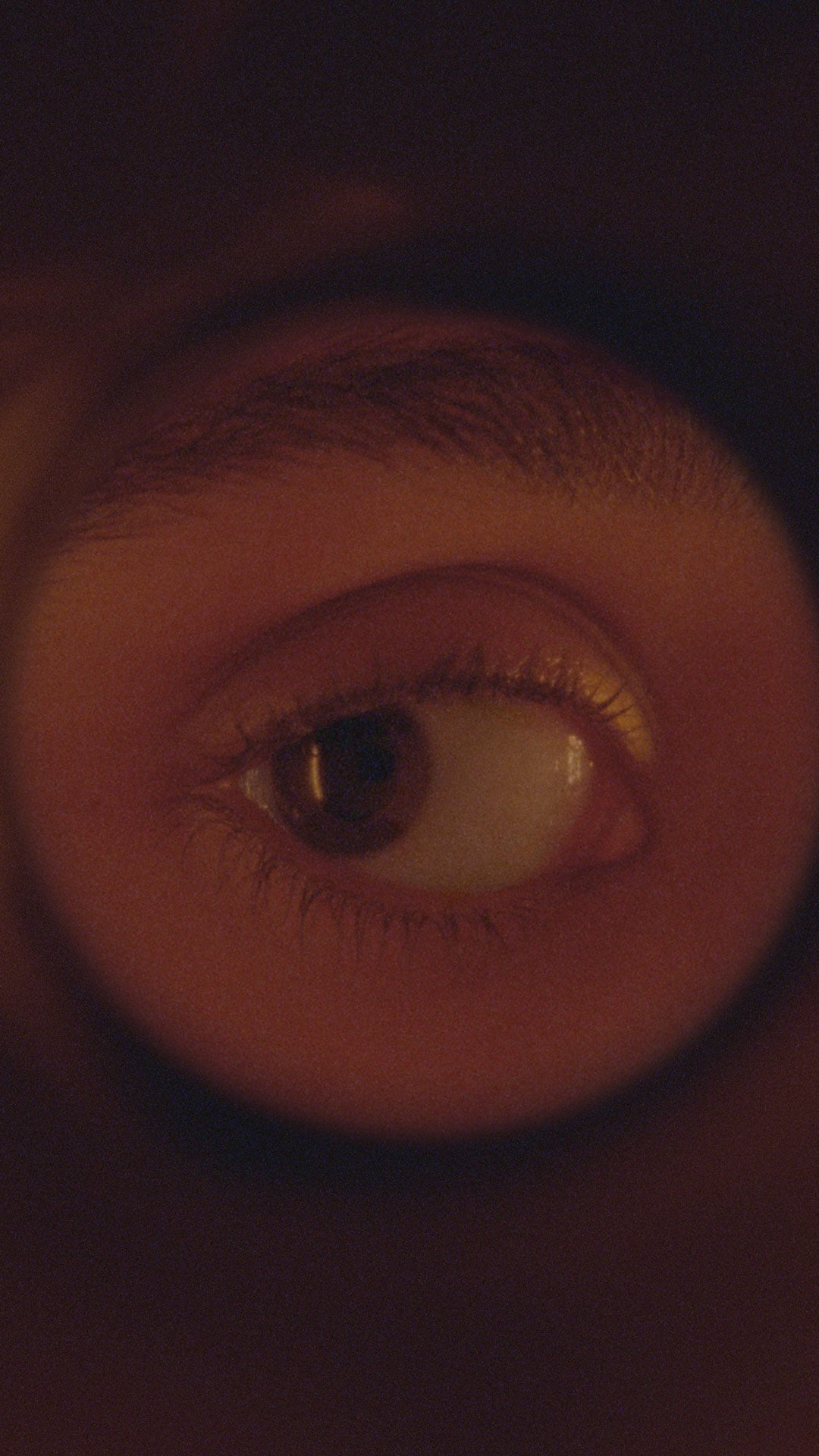 Close-up of eye looking through door peephole.