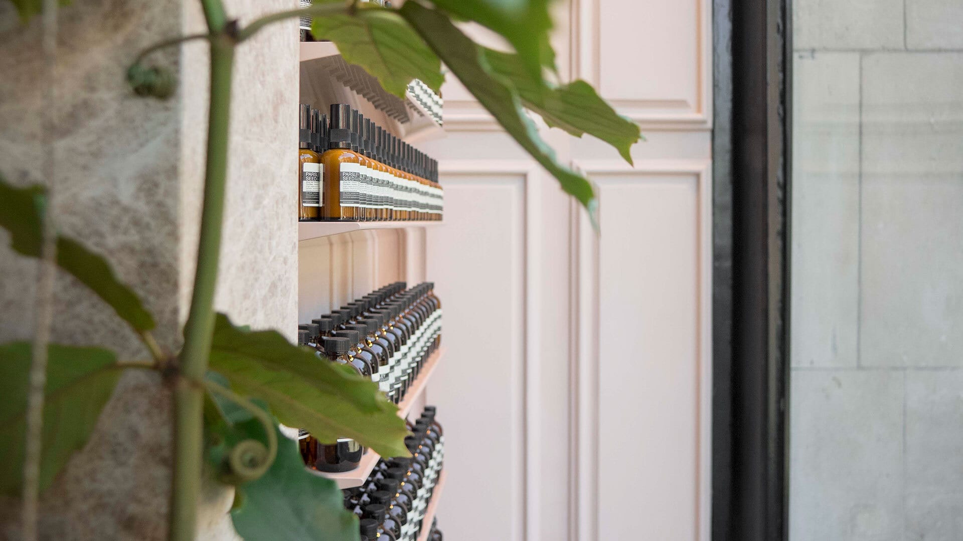 Shelves of Aesop products in-store with a leafy green plant visible in foreground. 