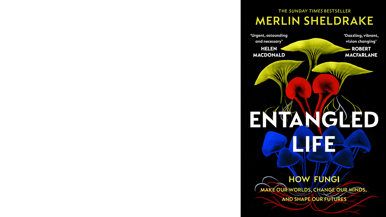 Entangled Life book cover by Merlin Sheldrake