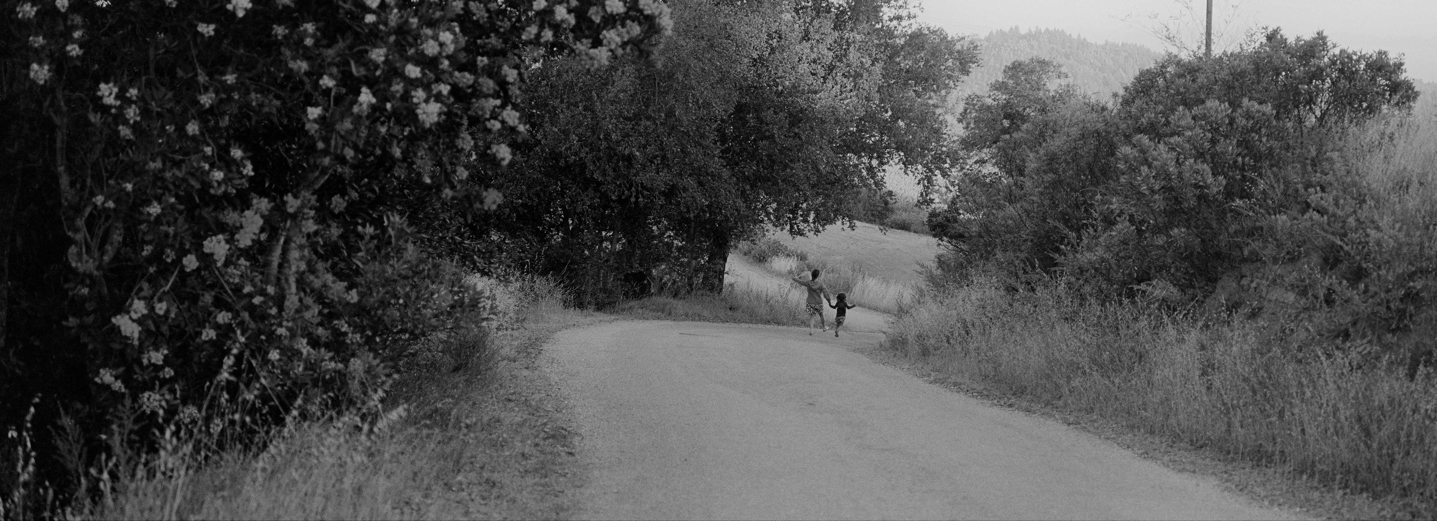 Two figures walking down a dirt road.