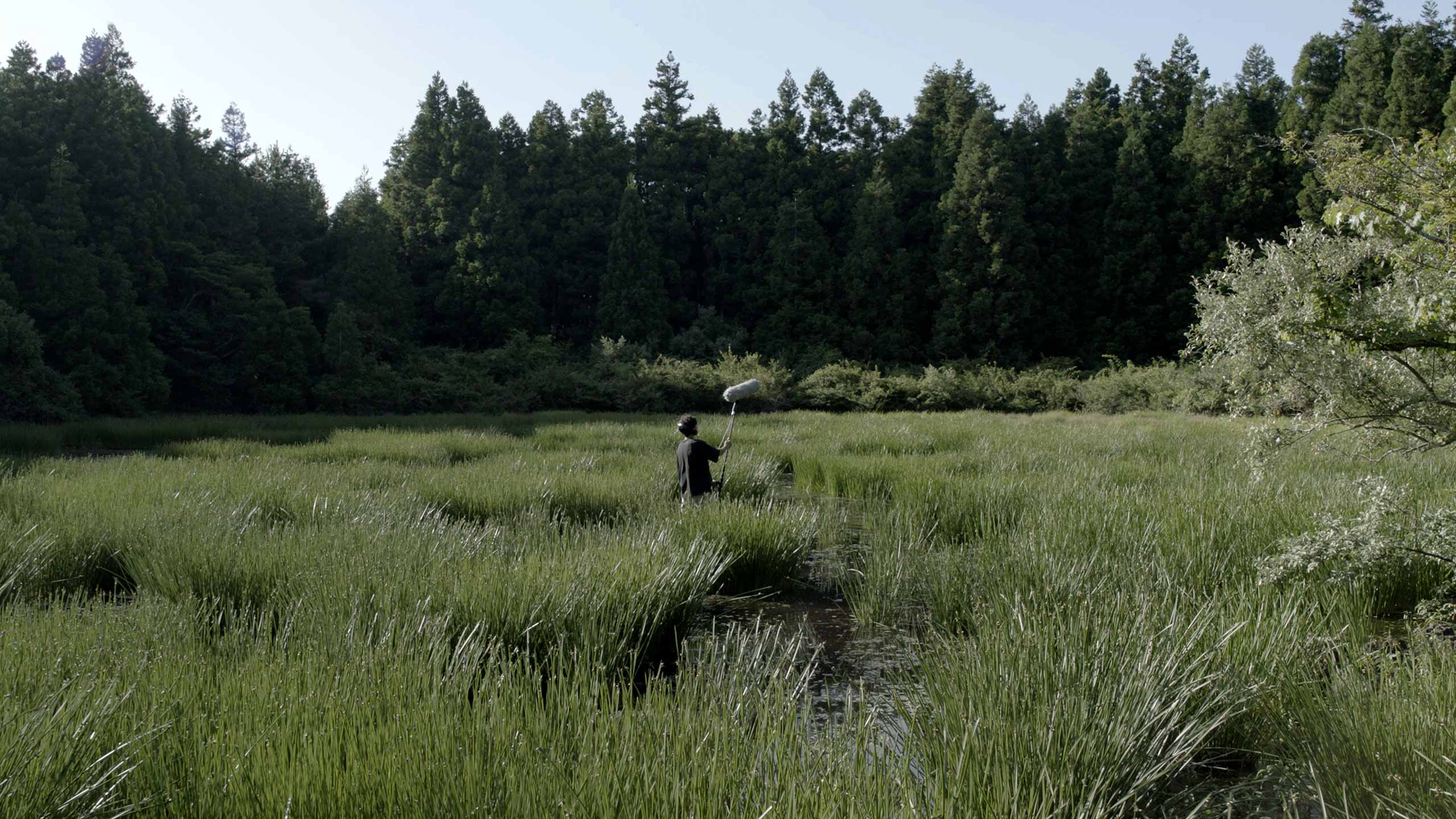 Water-logged marshland.