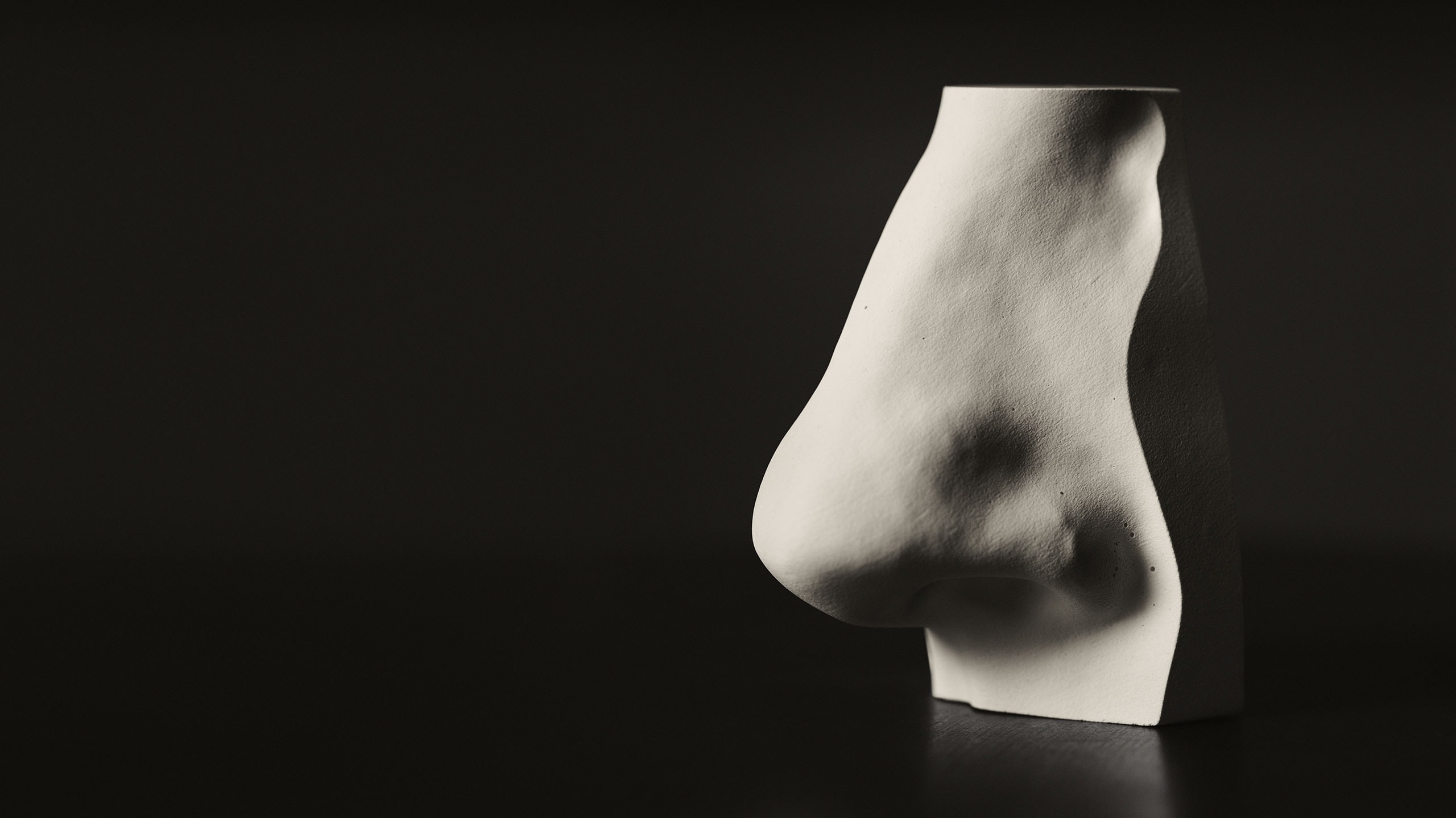 A nose sculpture placed in front of black background