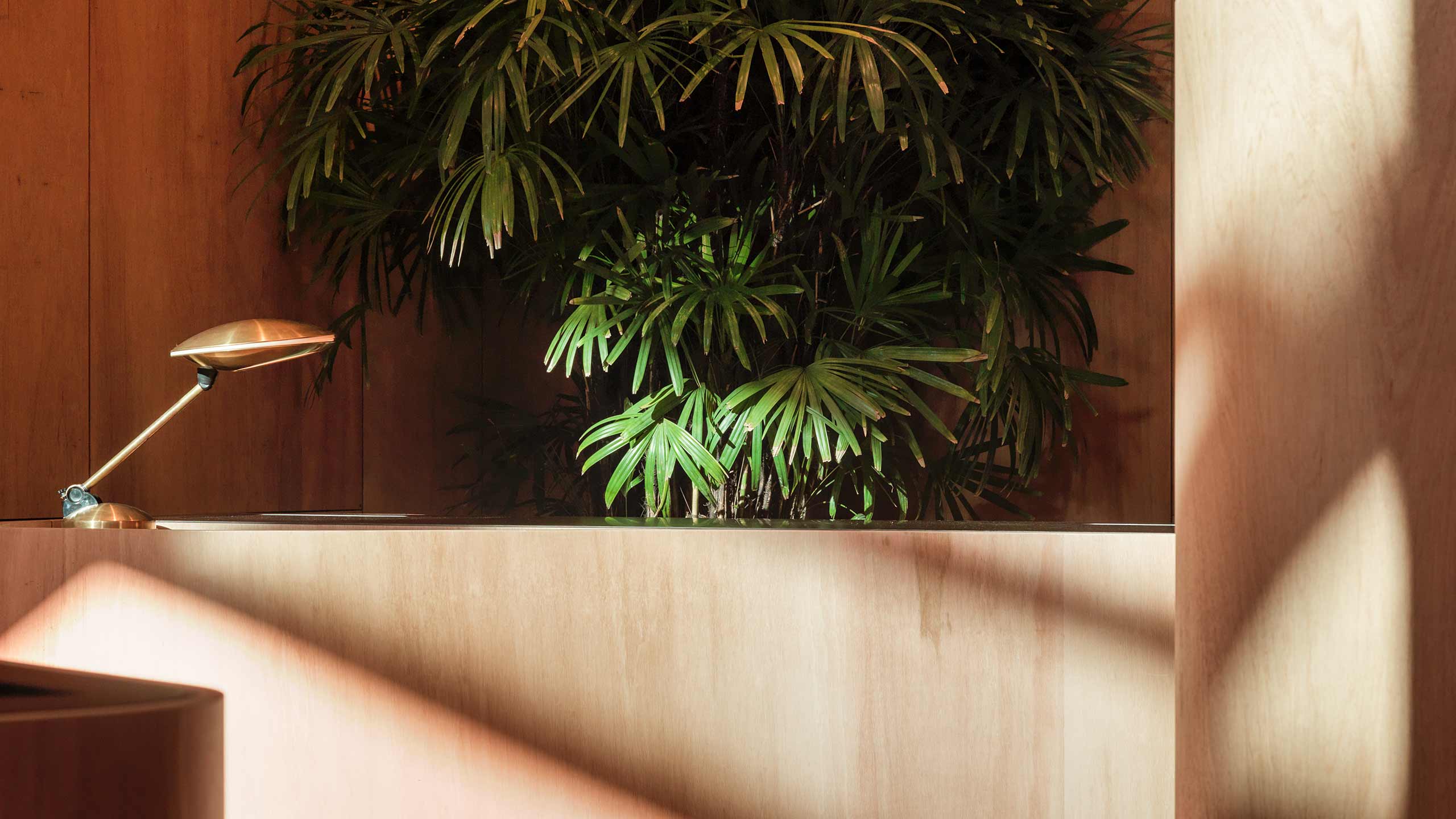 A close-up of one of the the areas local plants that are located around the interior.