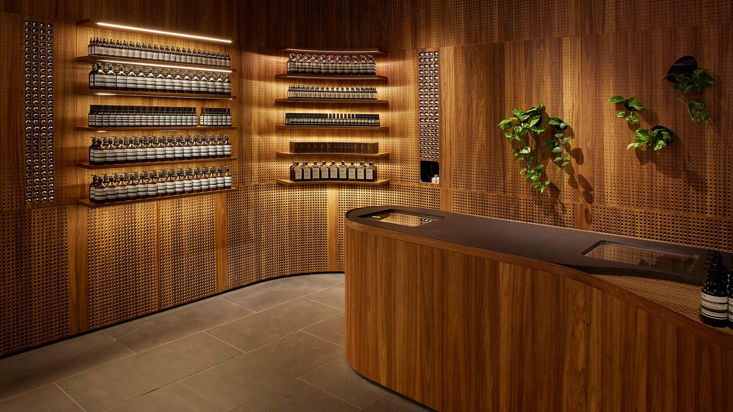 Dark, curved, wooden walls that feature product shelving. Three indoor plants hang from the perforated wall.